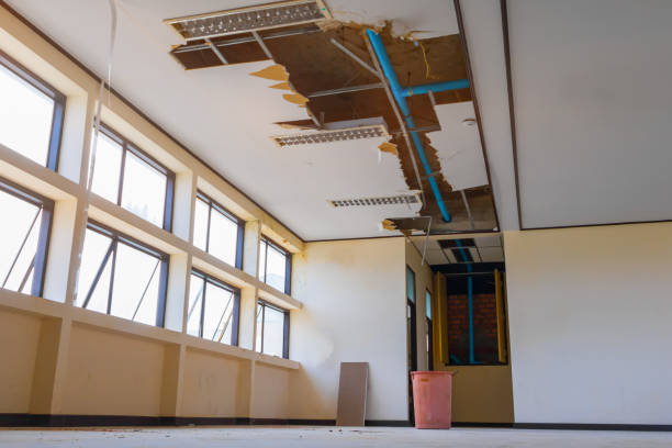 Best Commercial water damage restoration  in Brandenburg, KY