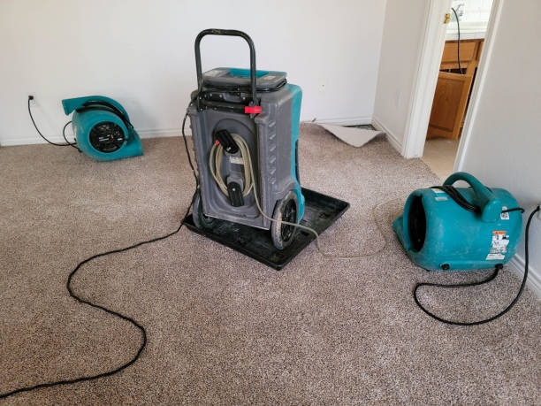 Best Sewage cleanup and water damage restoration  in Brandenburg, KY