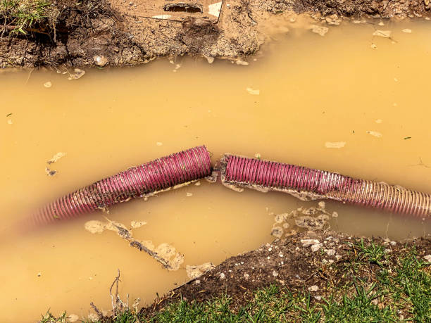Best Residential water damage restoration  in Brandenburg, KY